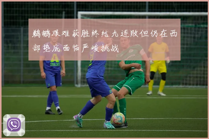鹈鹕艰难获胜终结九连败但仍在西部垫底面临严峻挑战