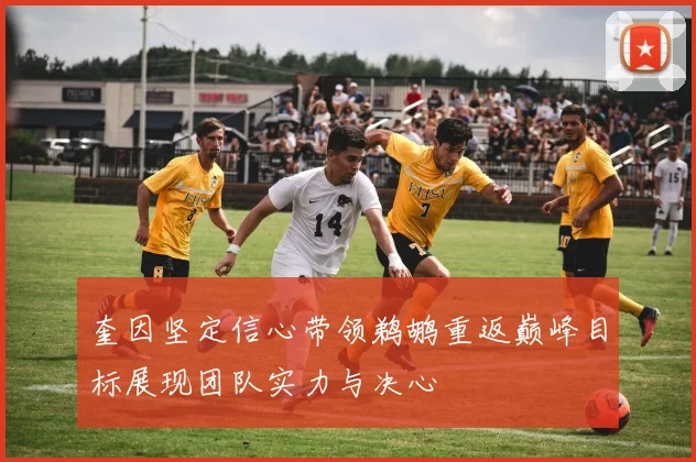 奎因坚定信心带领鹈鹕重返巅峰目标展现团队实力与决心