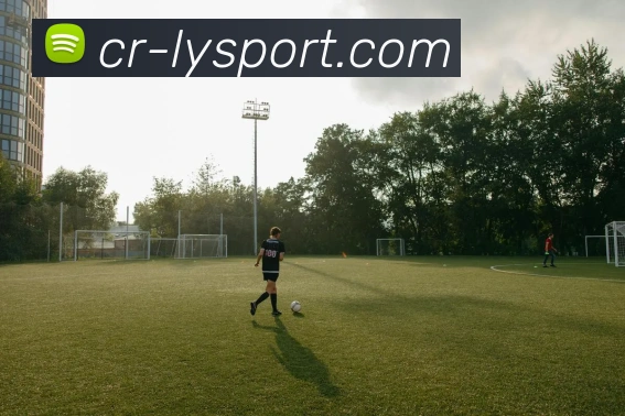 乐鱼体育APP 封面图